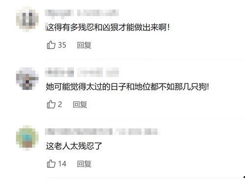 爆料婆婆视频大全集,揭秘家庭生活点滴 第3张 爆料婆婆视频大全集,揭秘家庭生活点滴 第3张